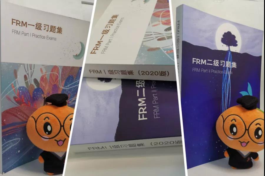 FRM中文精读